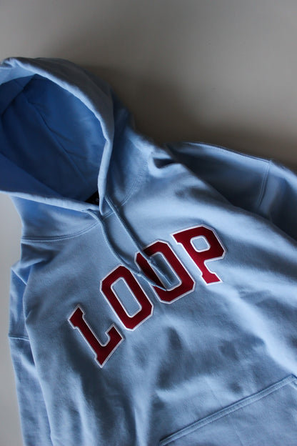 LOOP SATIN EMBROIDERY HOODIE
