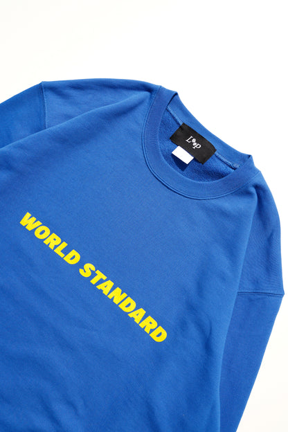 WORLD STANDARD TRAINER