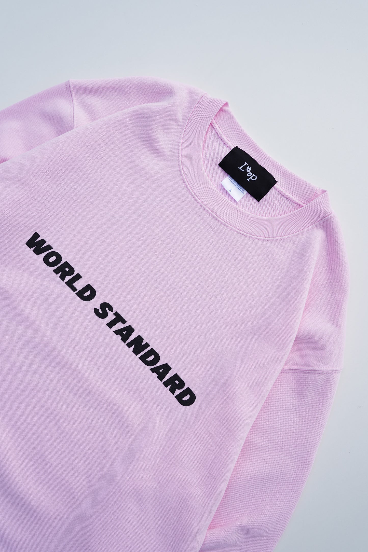 WORLD STANDARD TRAINER