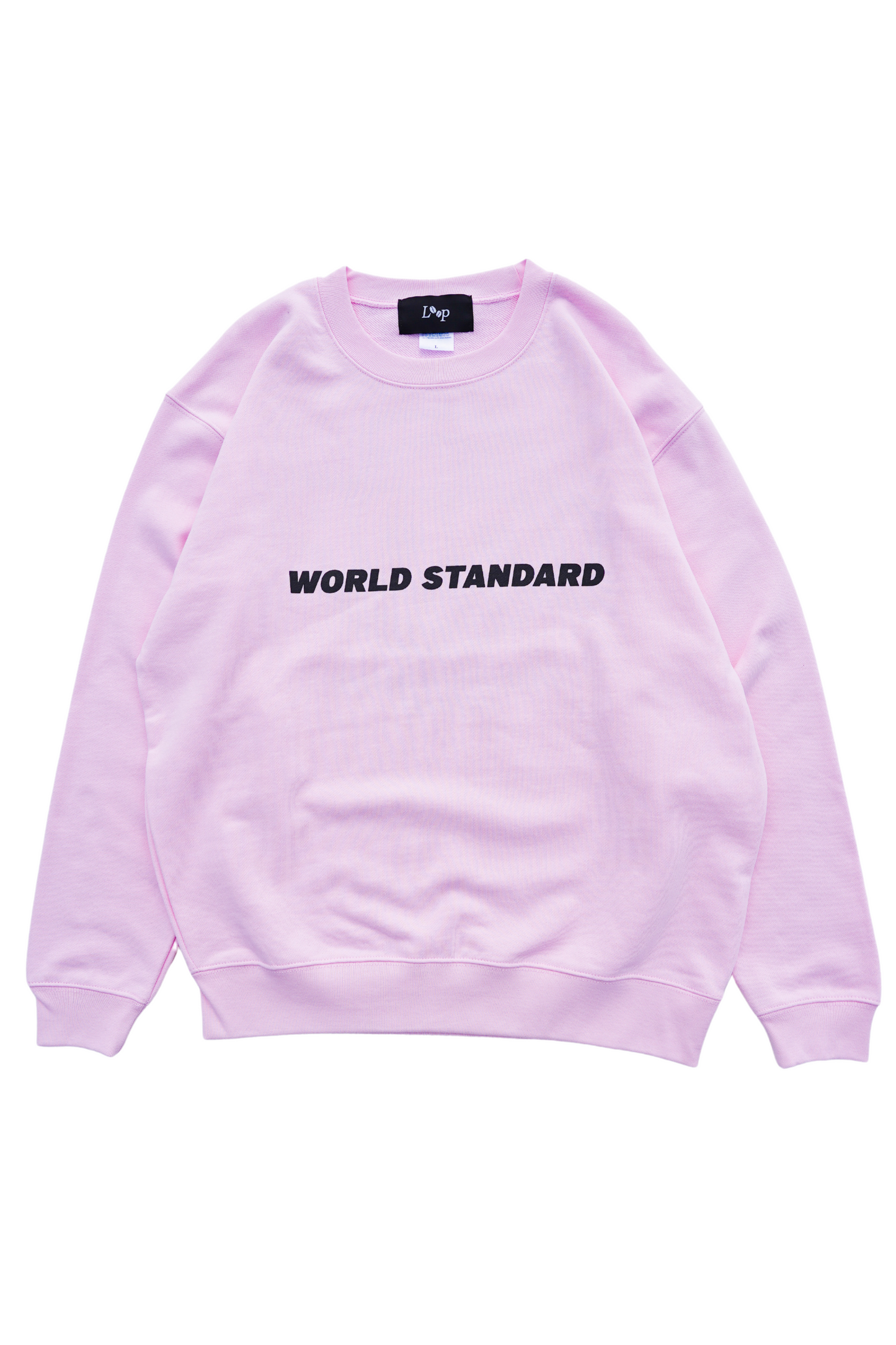 WORLD STANDARD TRAINER